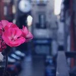 Napoli Sweet Home - Casa \